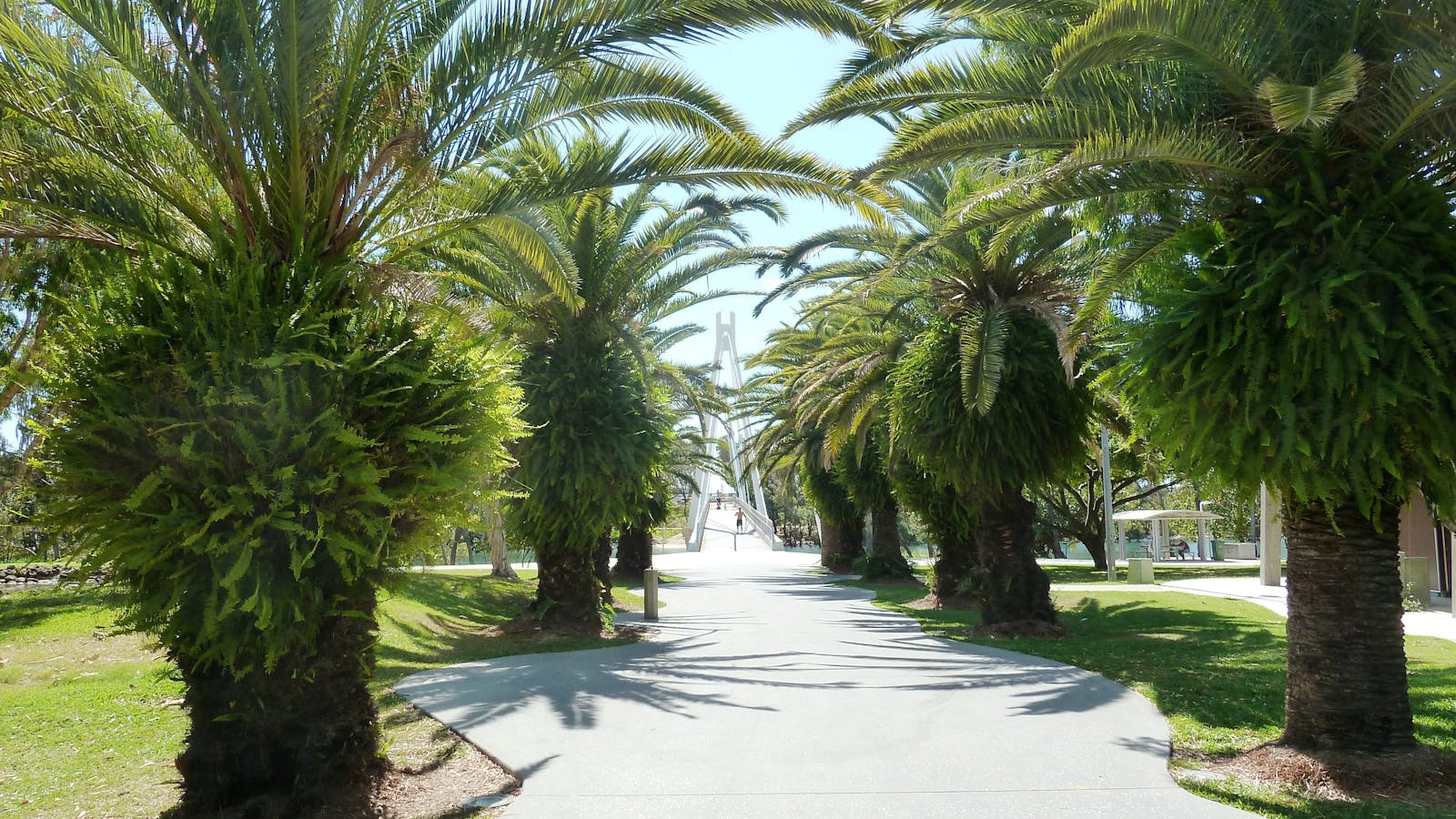 McIntosh Island Park
