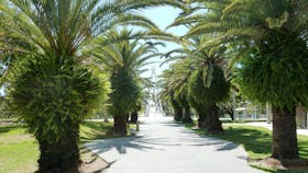 McIntosh Island Park