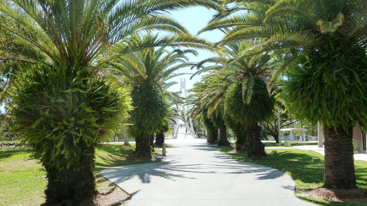 McIntosh Island Park