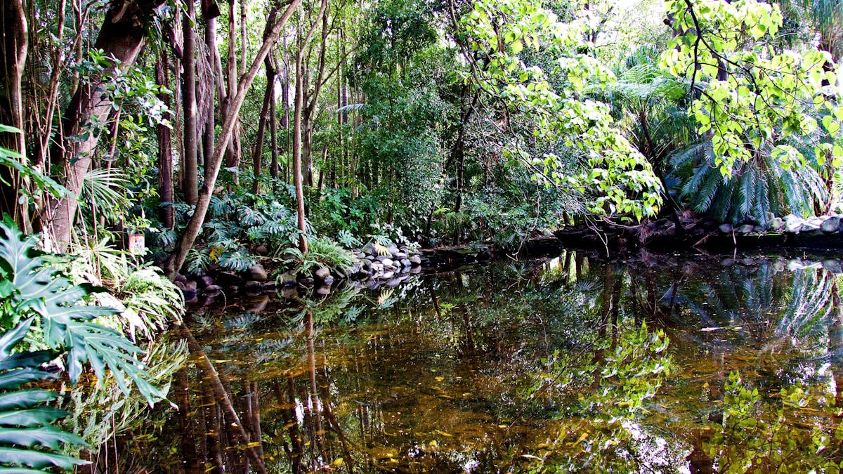Cascade Gardens