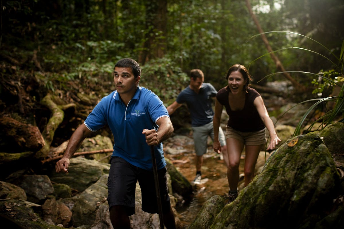 Rainforest Walk