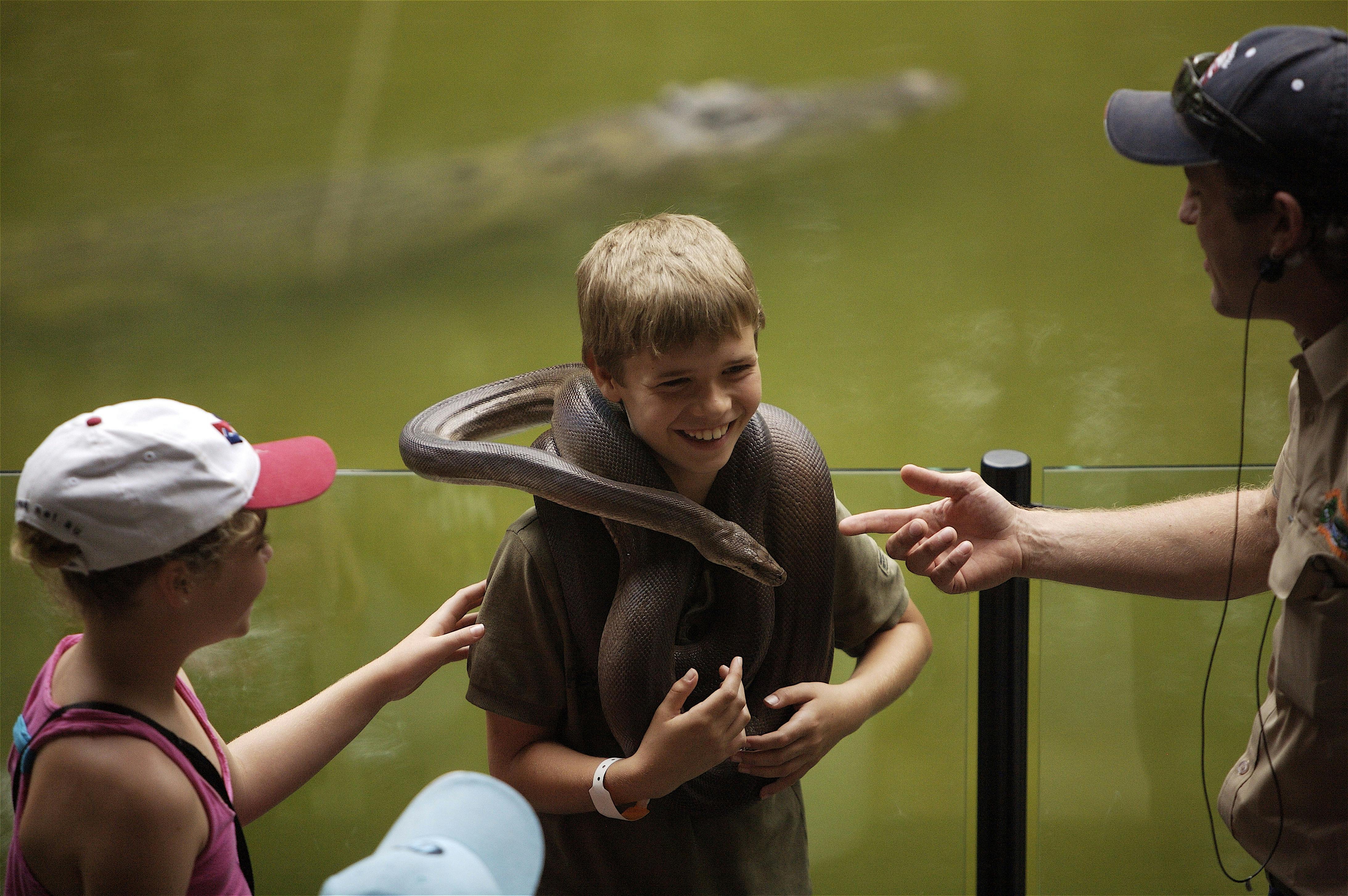 Snake Show - Hartleys