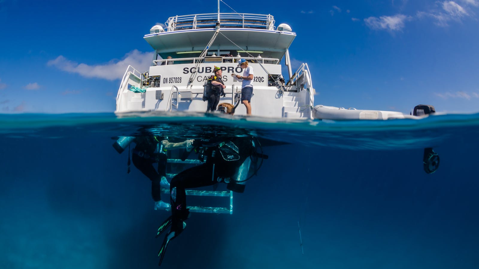 Pro Dive Cairns