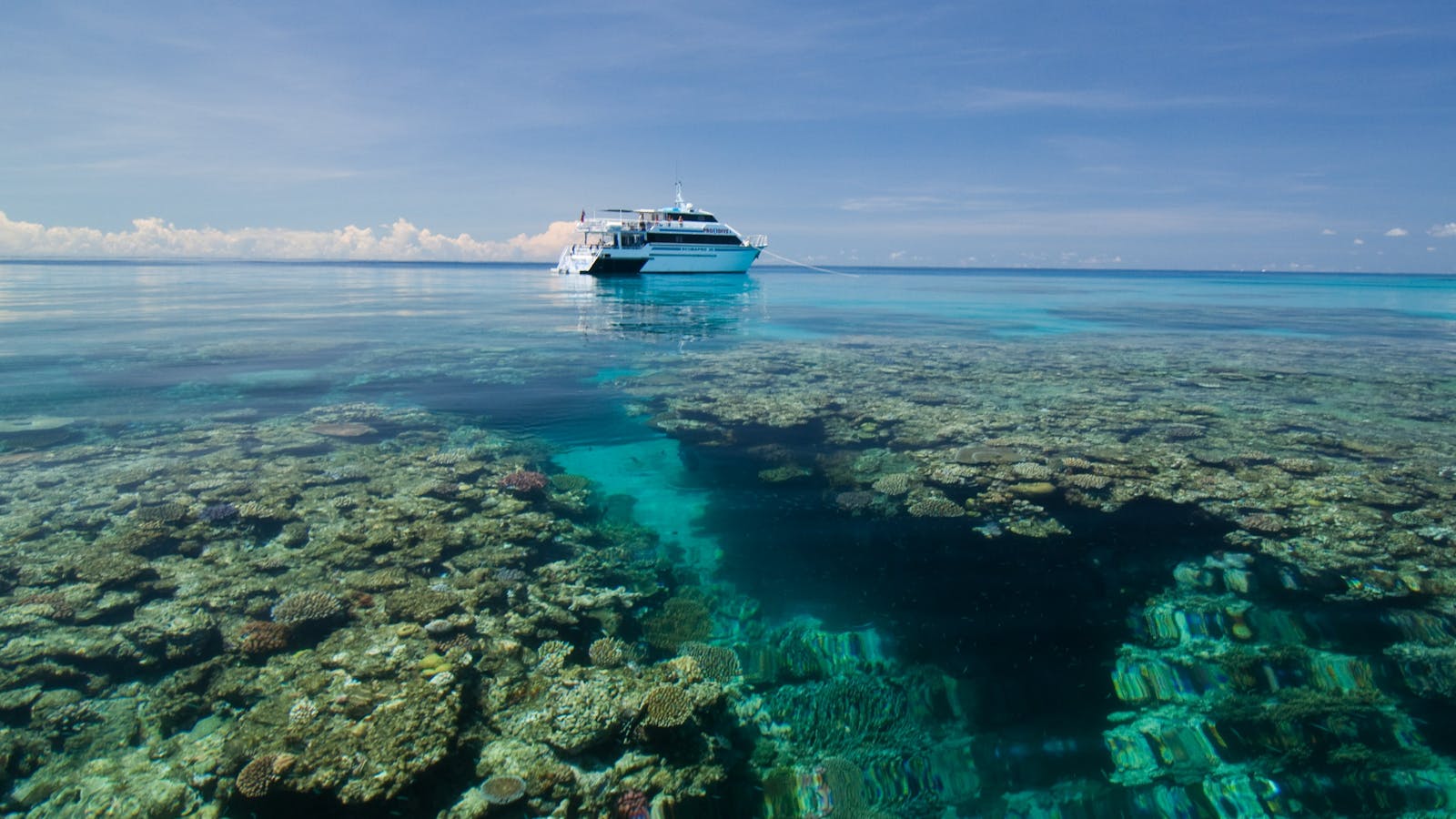 Pro Dive Cairns