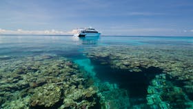 Dive the Great Barrier Reef with Pro Dive Cairns