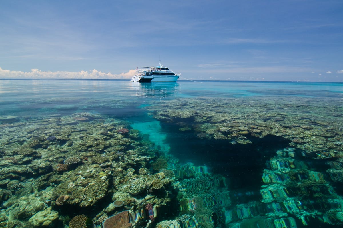 Dive the Great Barrier Reef with Pro Dive Cairns