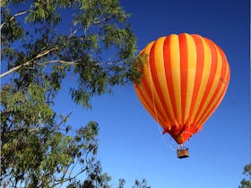 Brisbane Ballooning daily