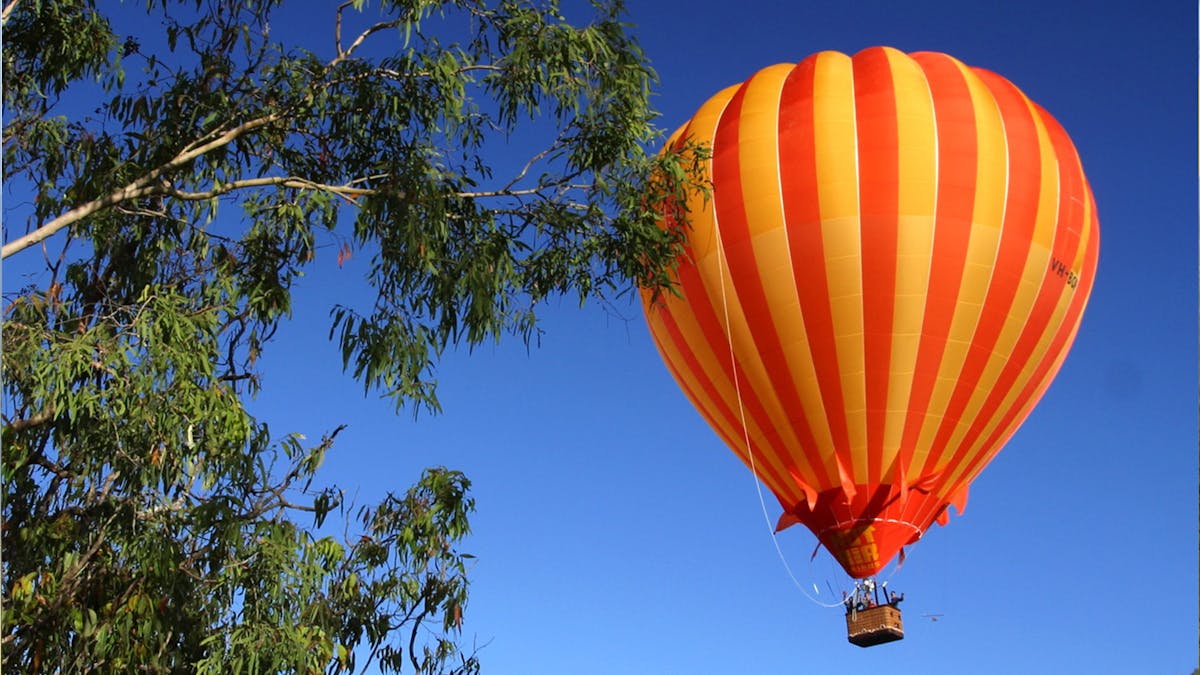 Brisbane Ballooning daily