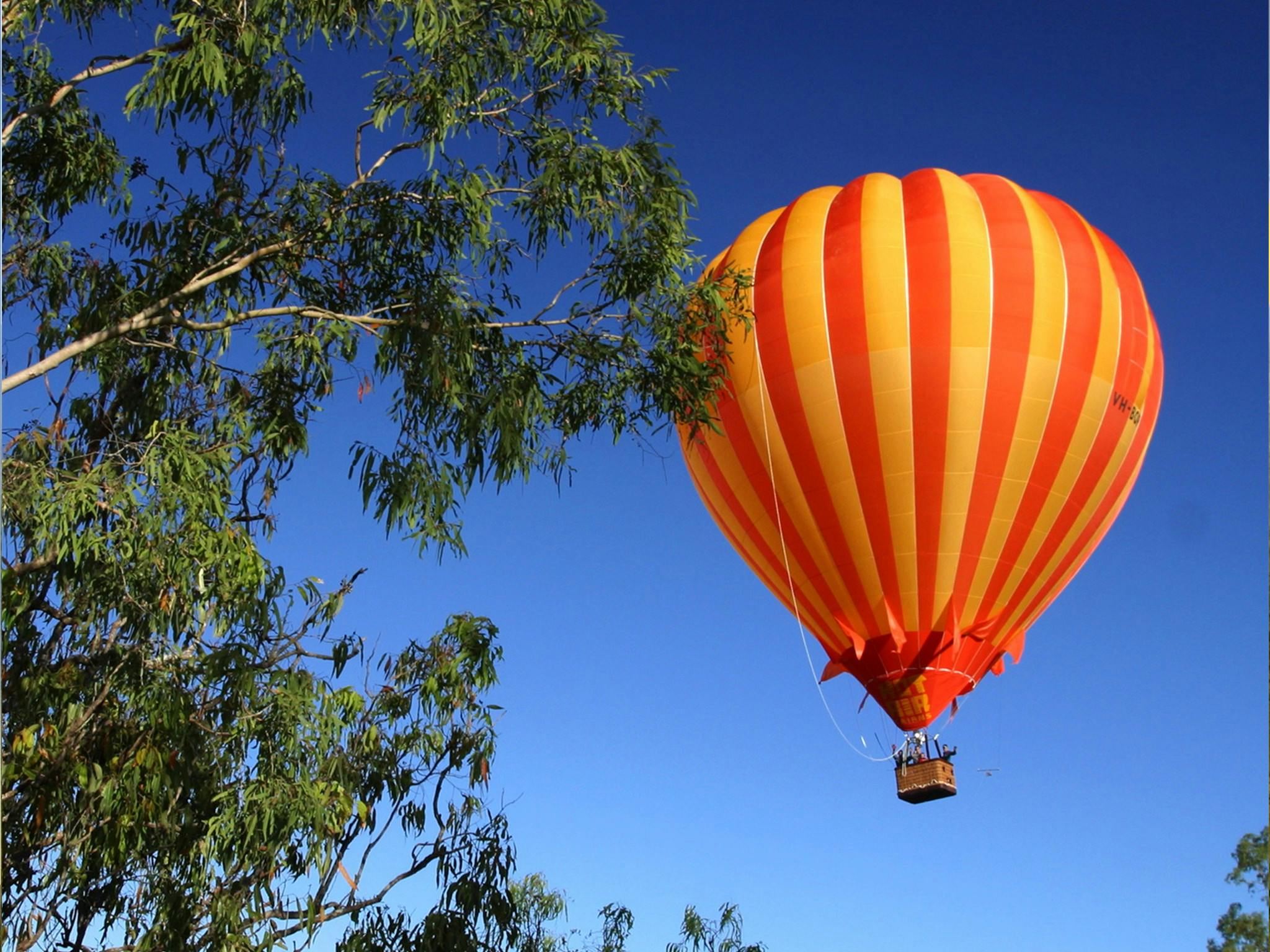 Brisbane Hot Air Ballooning and Vineyard Breakfast - Meet at Nerang or Canungra