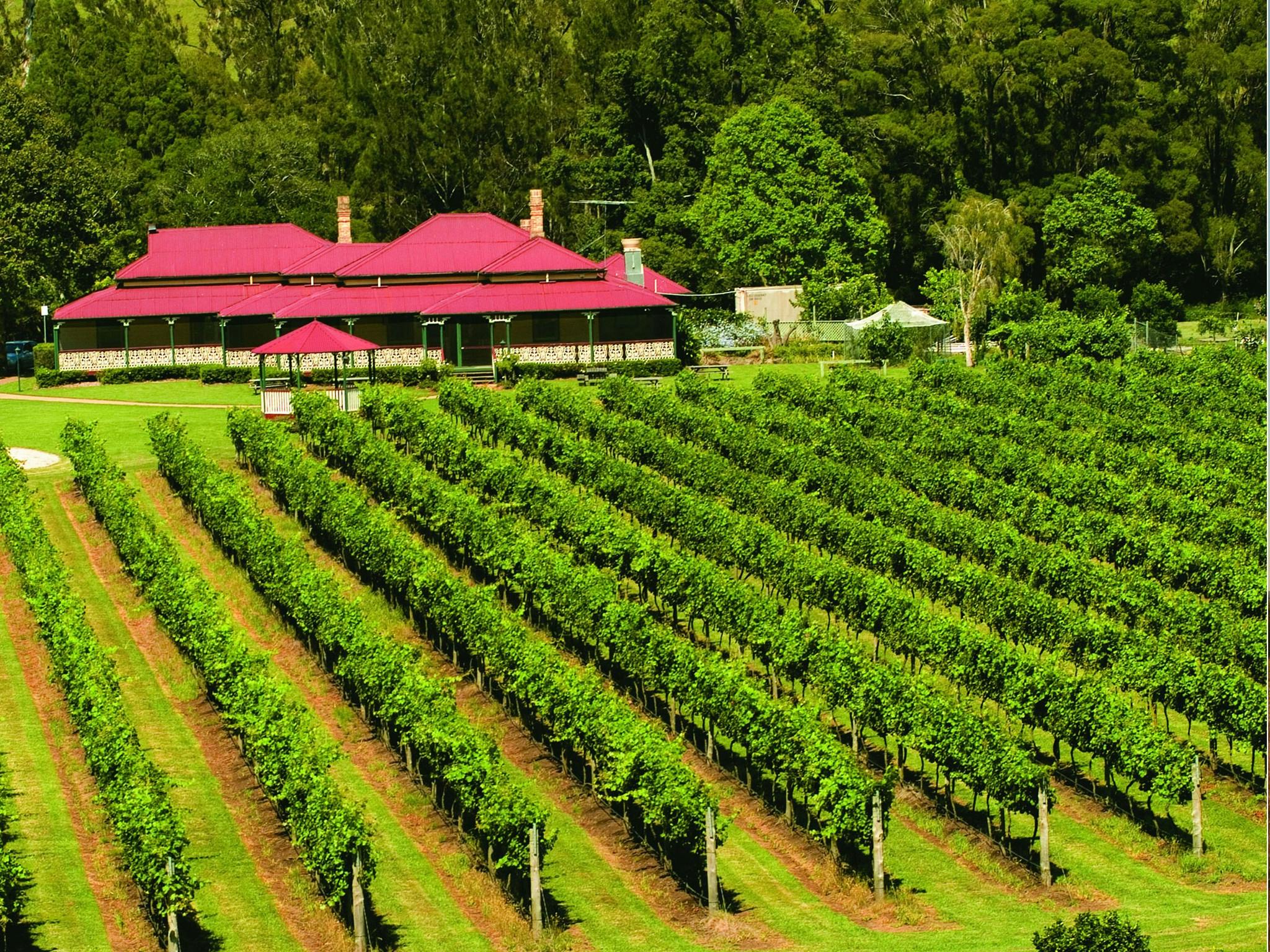 Brisbane Ballooning & Vineyard Breakfast