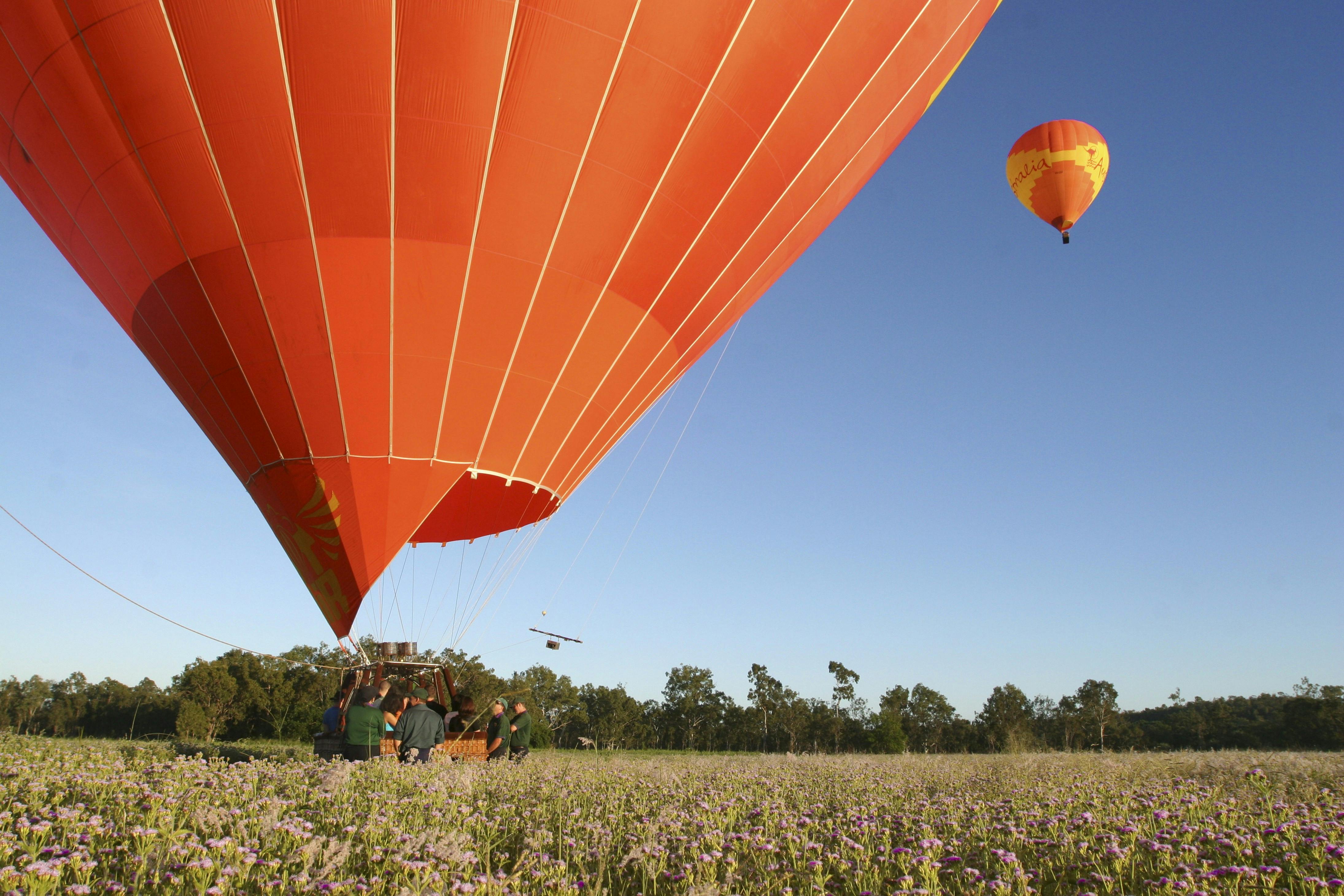 Balloons Over Brisbane