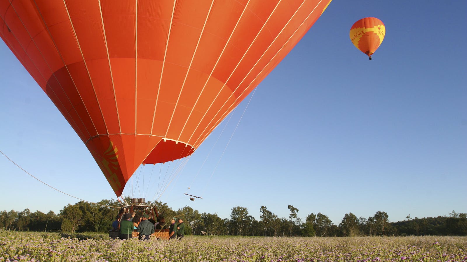 Balloons Over Brisbane