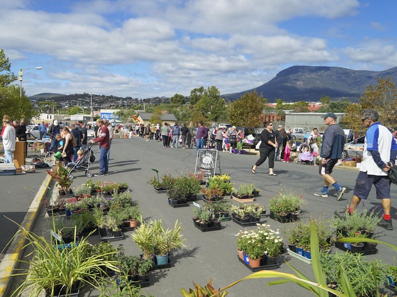 Hobart Showground Sunday Market Weekly Discover Tasmania