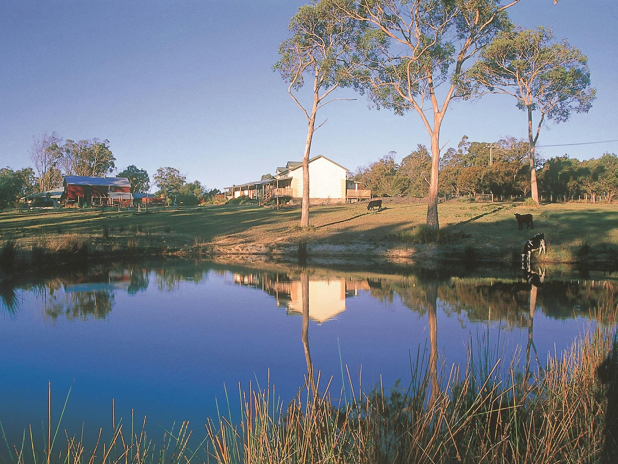 Rural setting Platypus Park Country Retreat