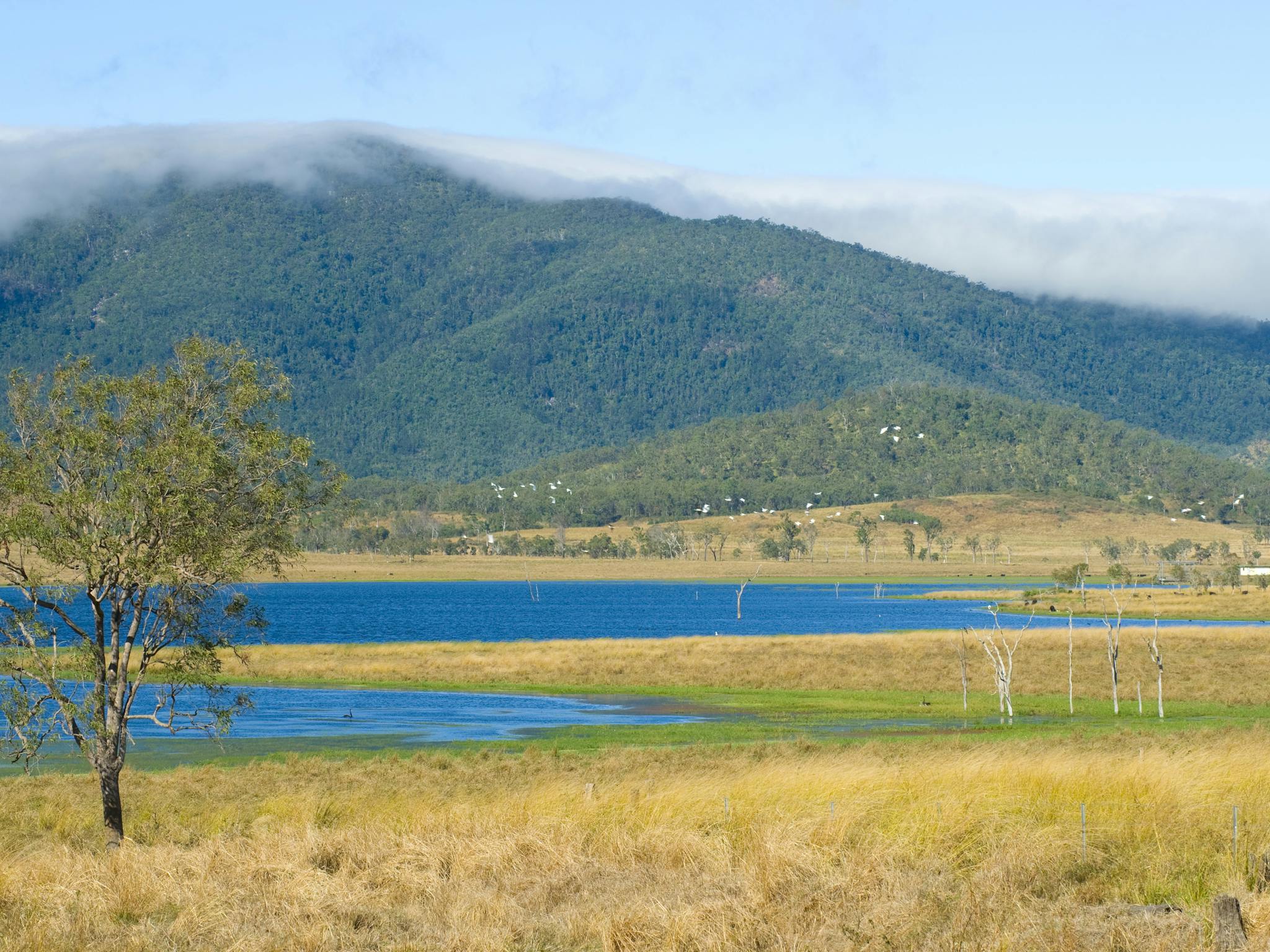 Lake Elphinstone Lake Elphinstone