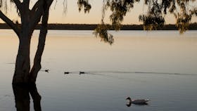 Lake Elphinstone