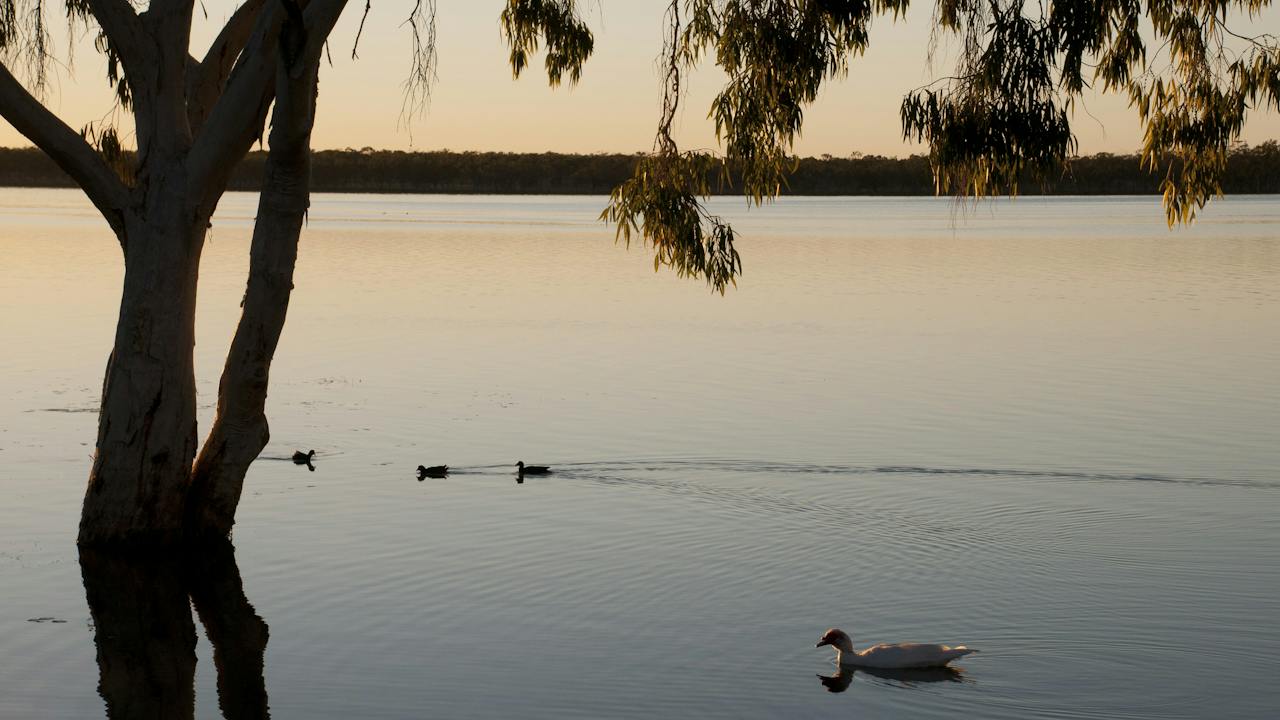 Lake Elphinstone