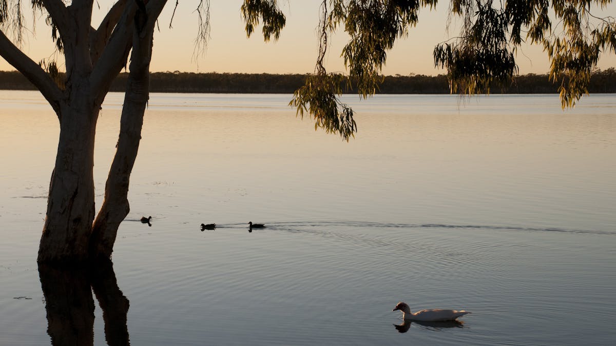 Lake Elphinstone
