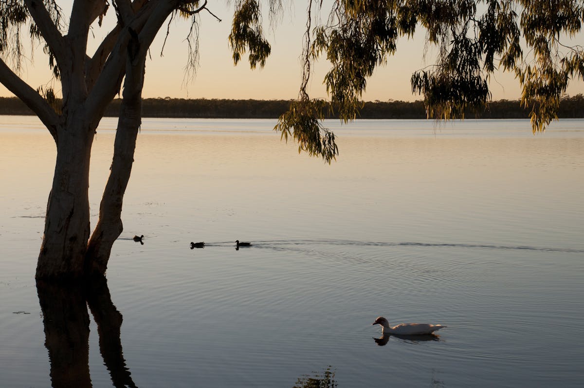 Lake Elphinstone