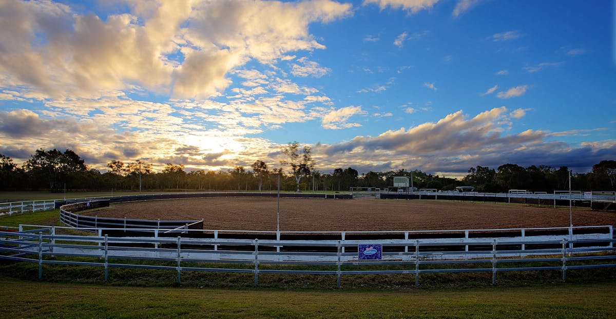 Nebo Saleyards