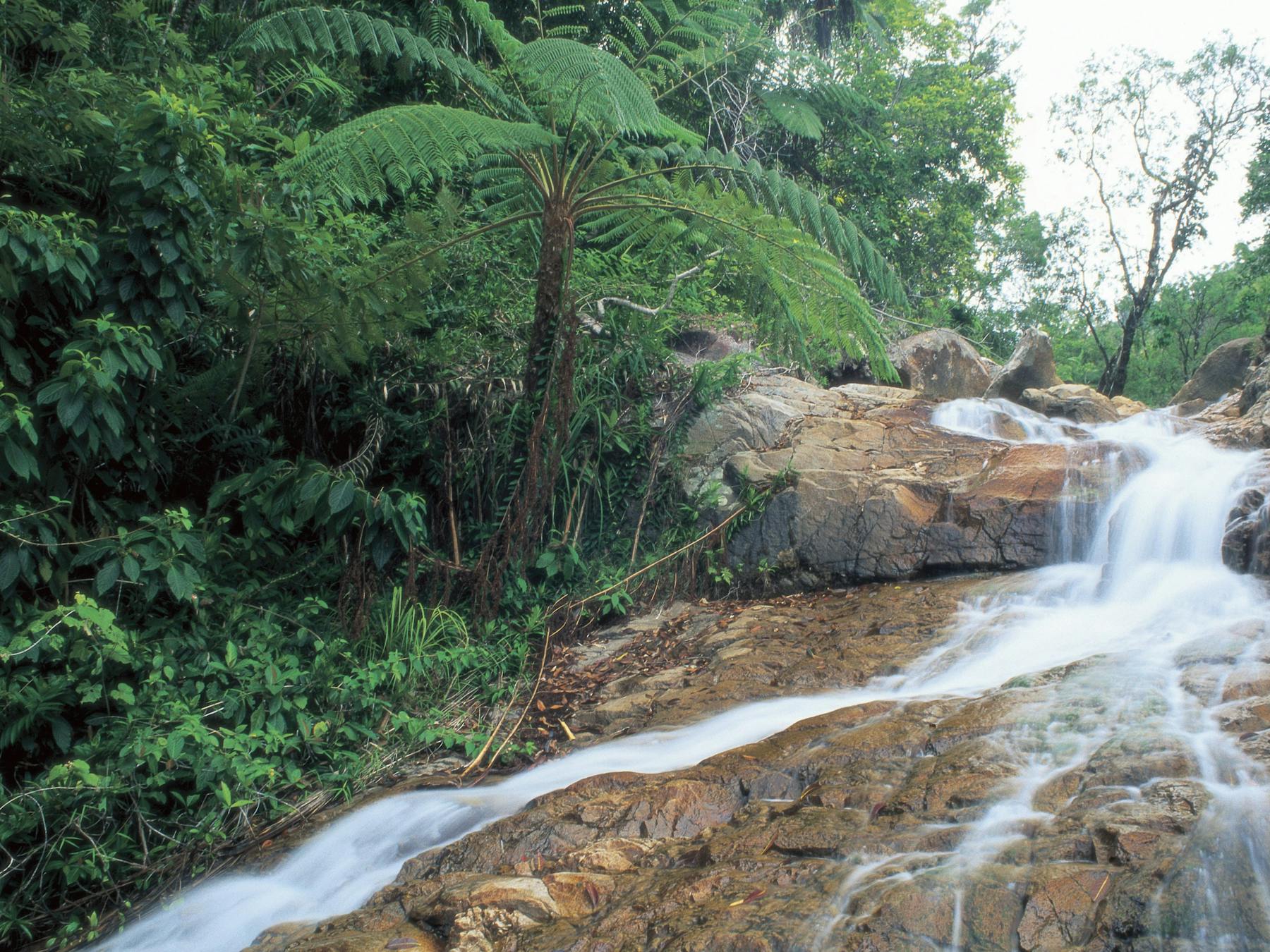 Finch Hatton Gorge Waterfall