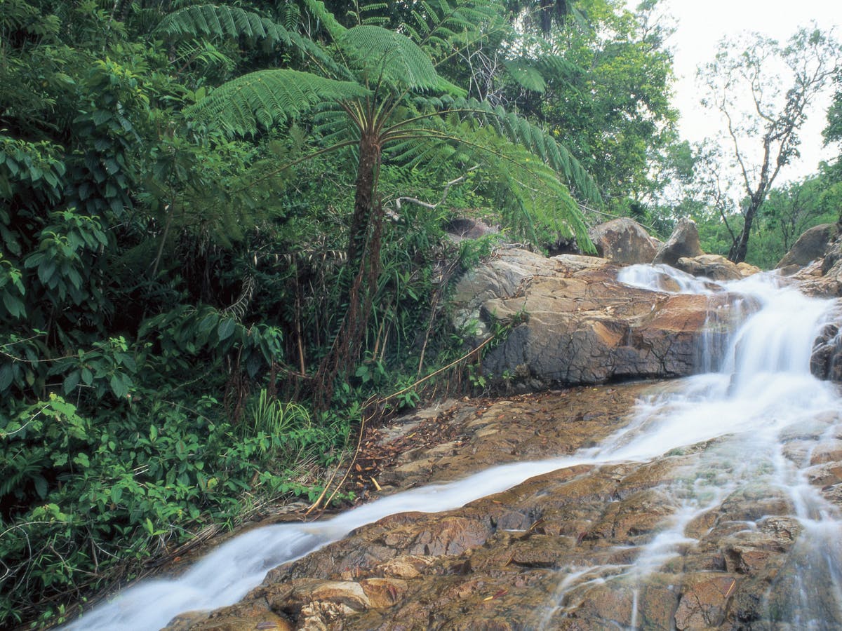 Finch Hatton Gorge Waterfall Finch Hatton Gorge Waterfall