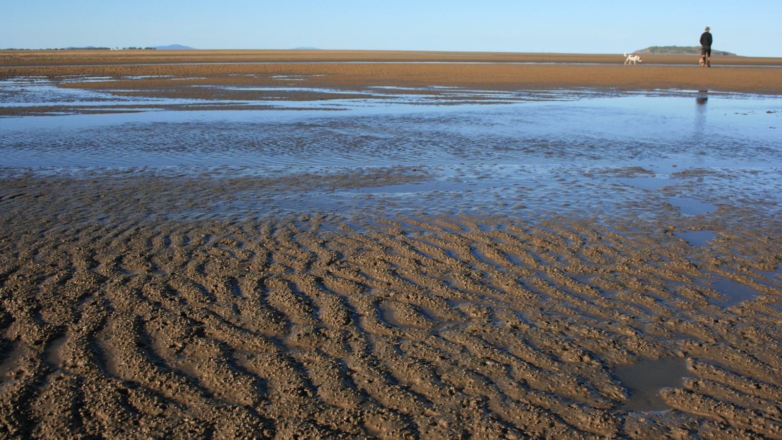 Illawong Beach