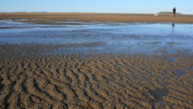Illawong Beach