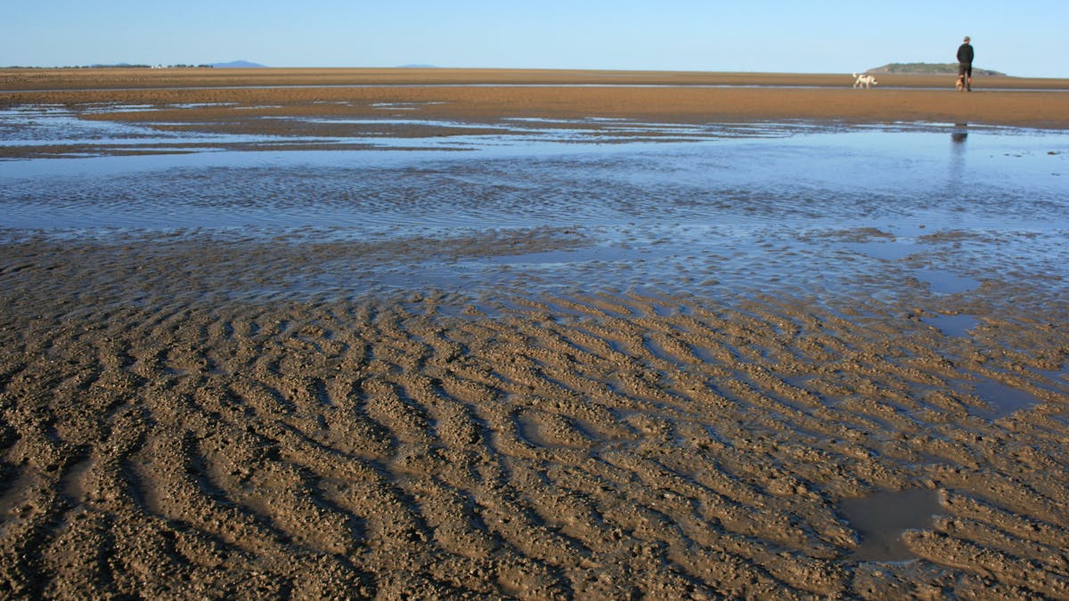 Illawong Beach