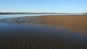Illawong Beach 2