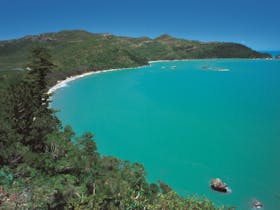 Hibiscus Coast