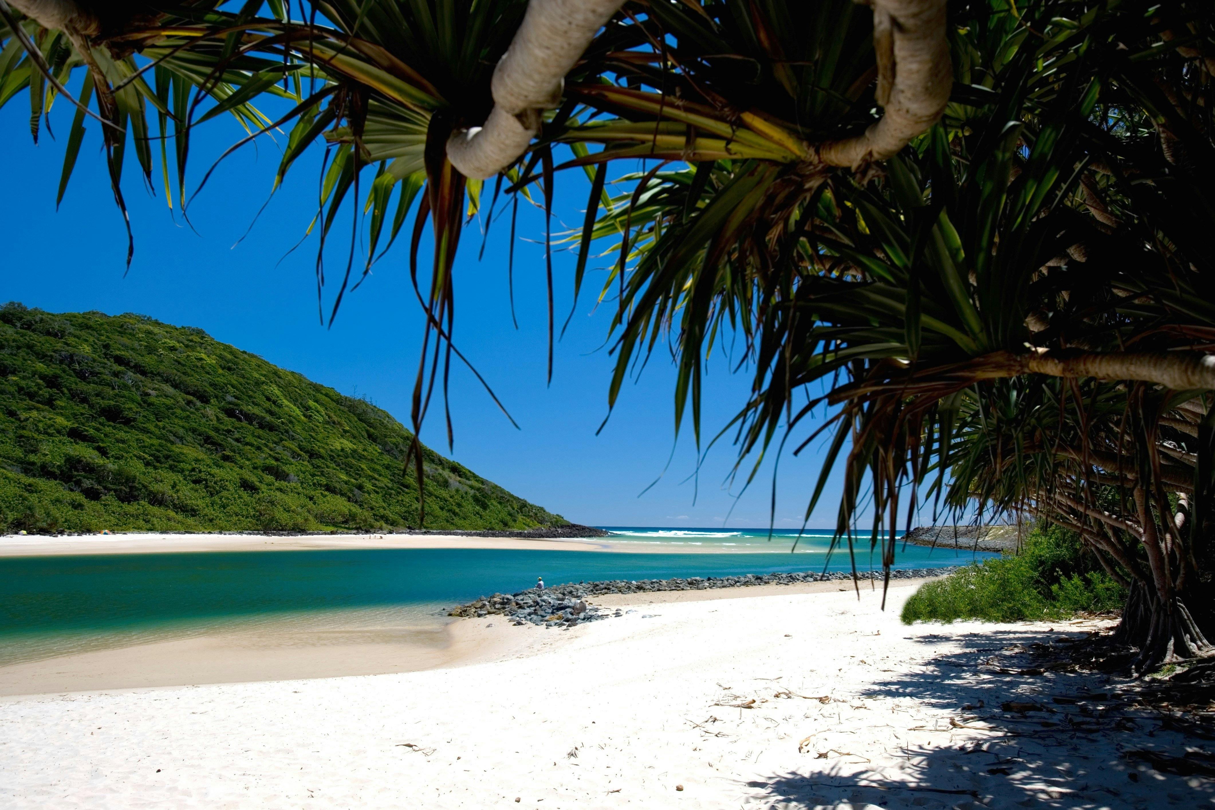 Discover Tallebudgera Creek Tourist Park: Your Ultimate Guide to Palm Beach, QLD