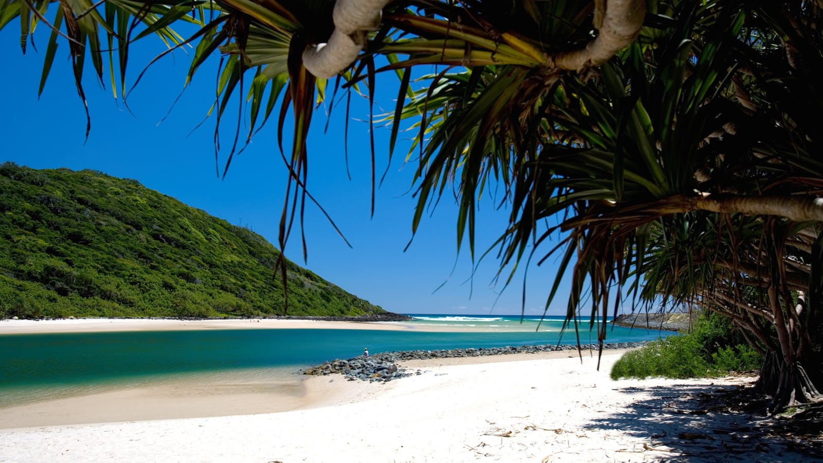 Tallebudgera Creek