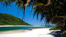 Tallebudgera Creek