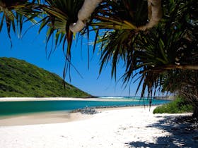 Tallebudgera Creek