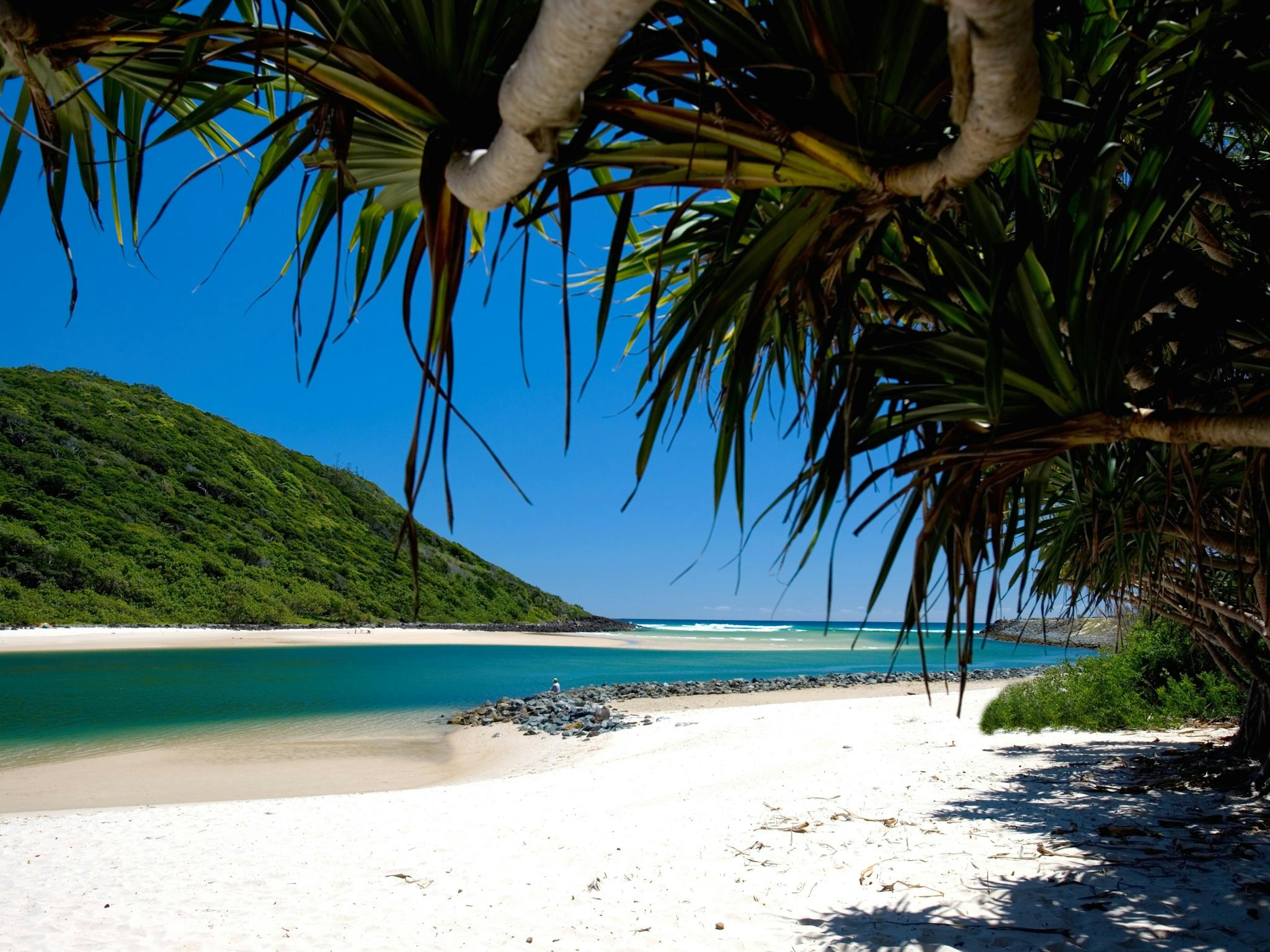 The sparkling creek of Tallebudgera The sparkling creek of Tallebudgera