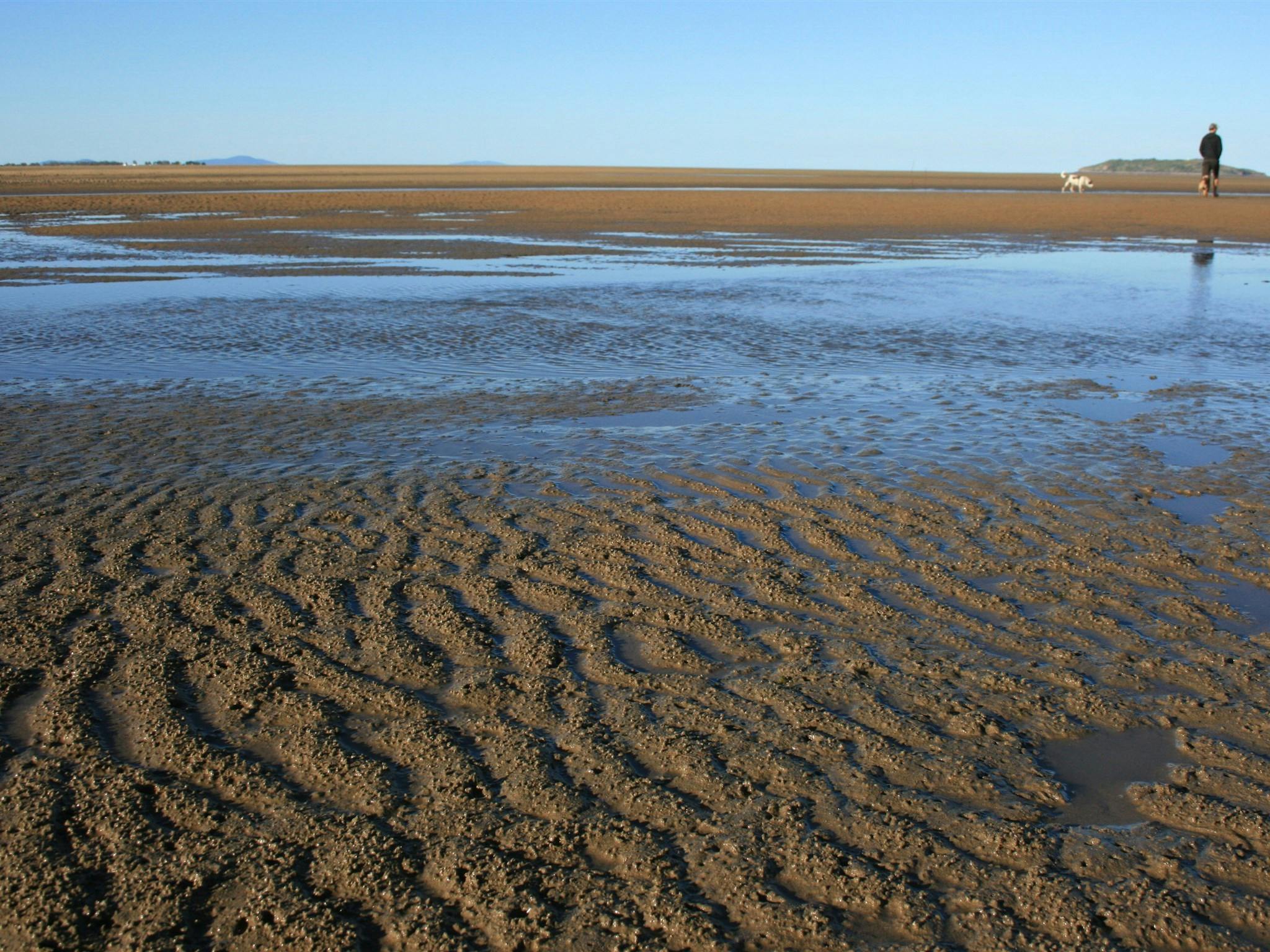 Far Beach