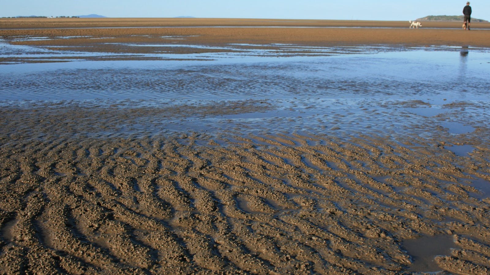 Far Beach