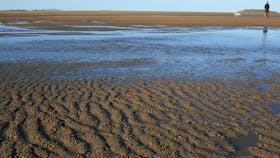 Far Beach