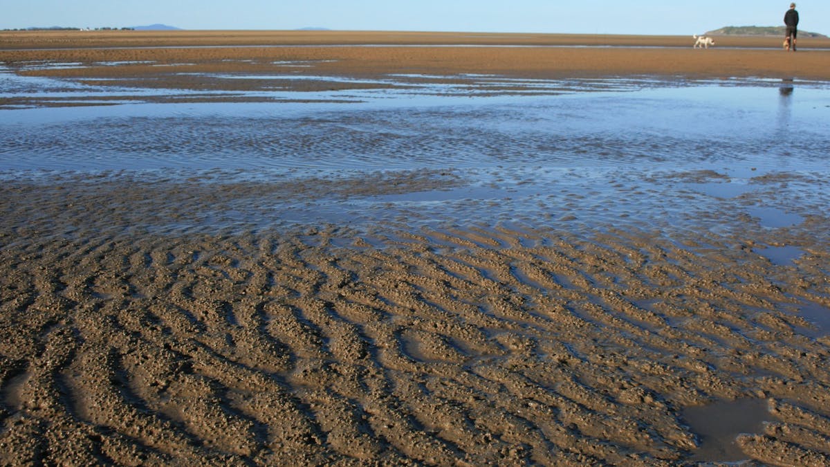 Far Beach