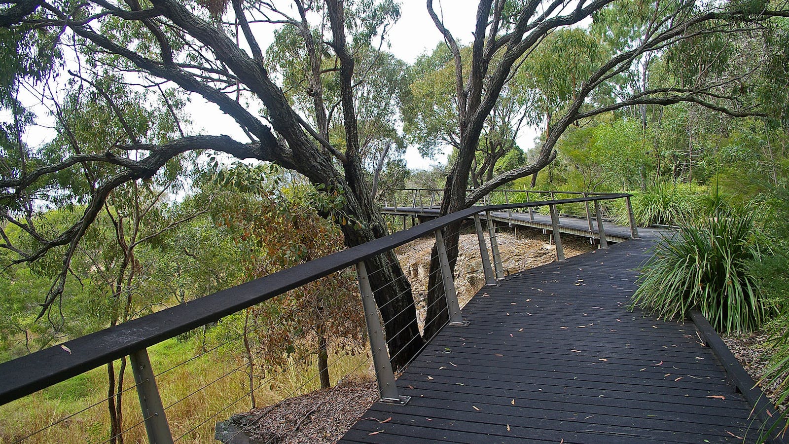 Canoe Point Beach and Parklands