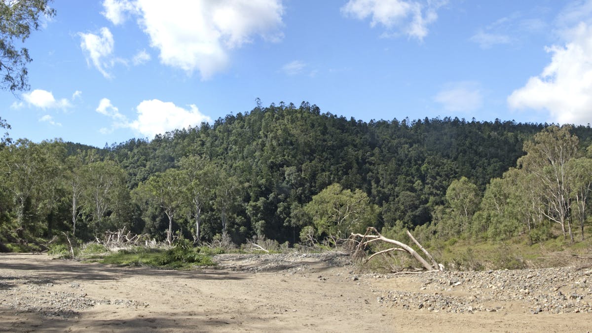Benarkin State Forest