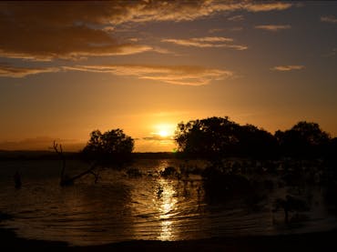Southend Curtis Island, Gladstone