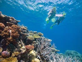 NRMA Cairns Holiday Park