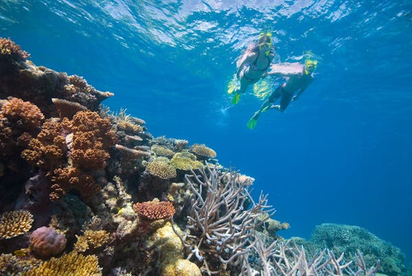 PC_0617_PhotoUpdates