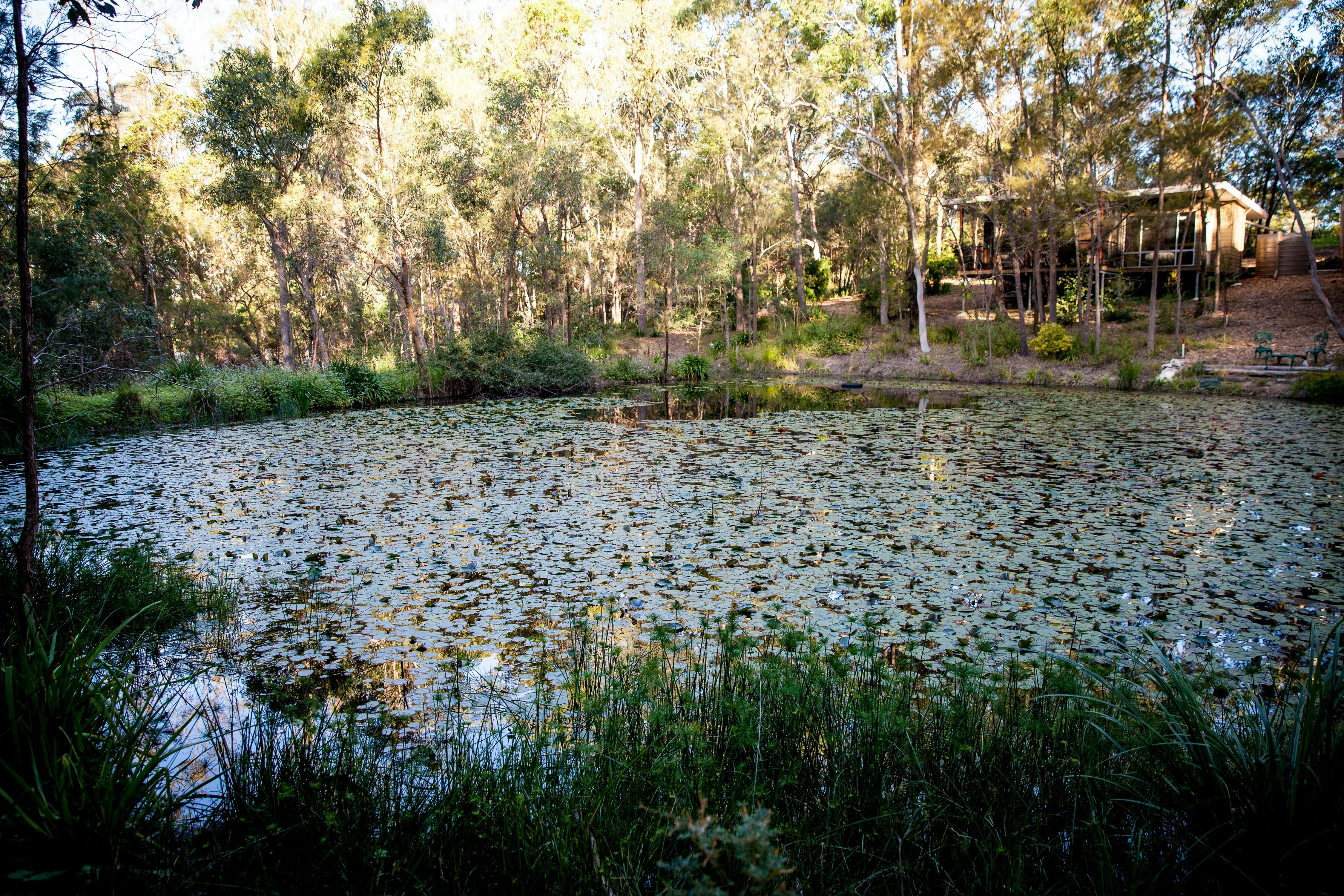 Pavilions by the Lake or in the Treetops
