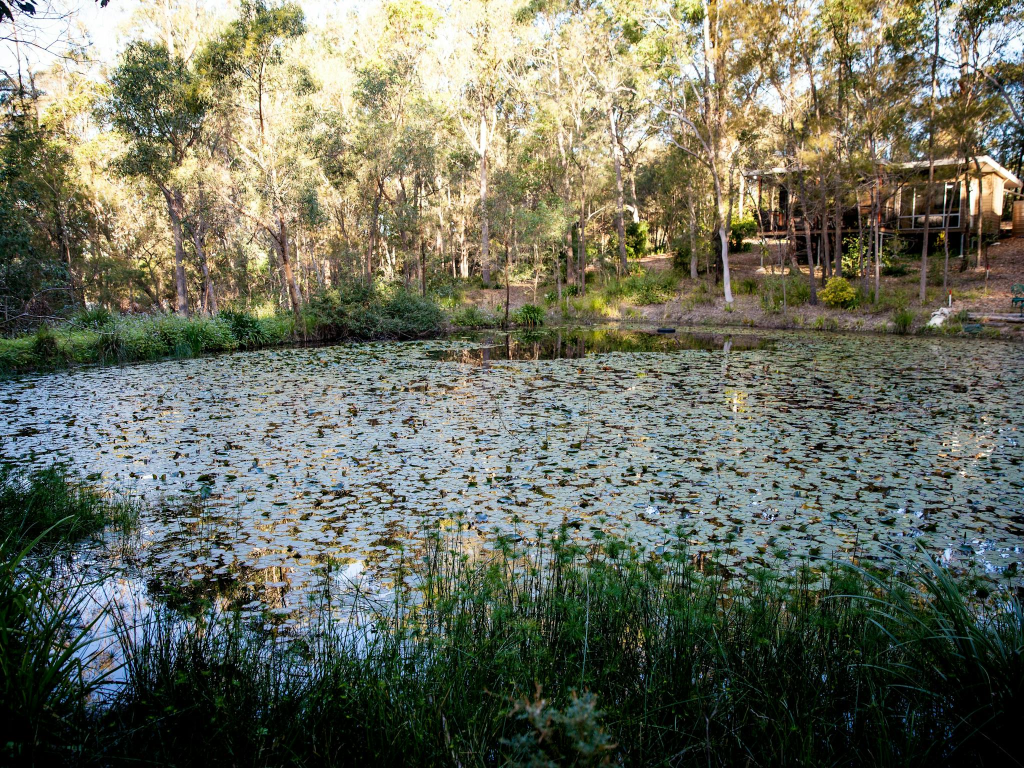 LAke view LAke view