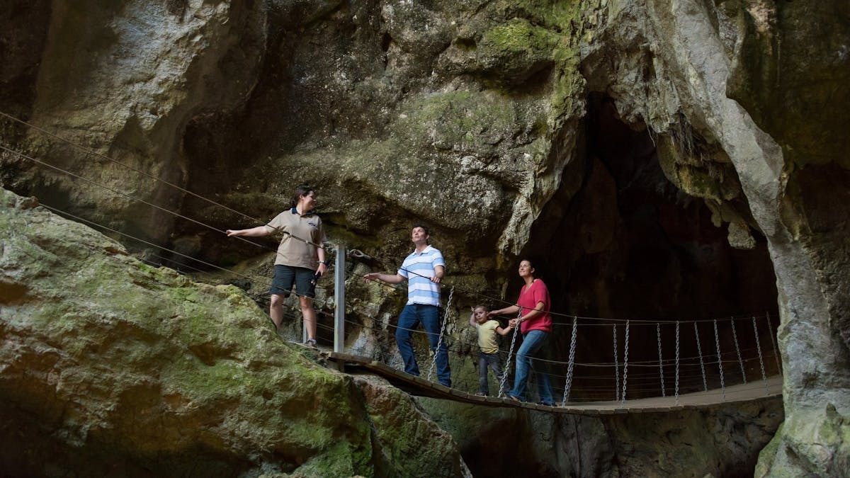 Swinging bridge option to exit the Cathedral Cave tour. great fun for family of all ages.