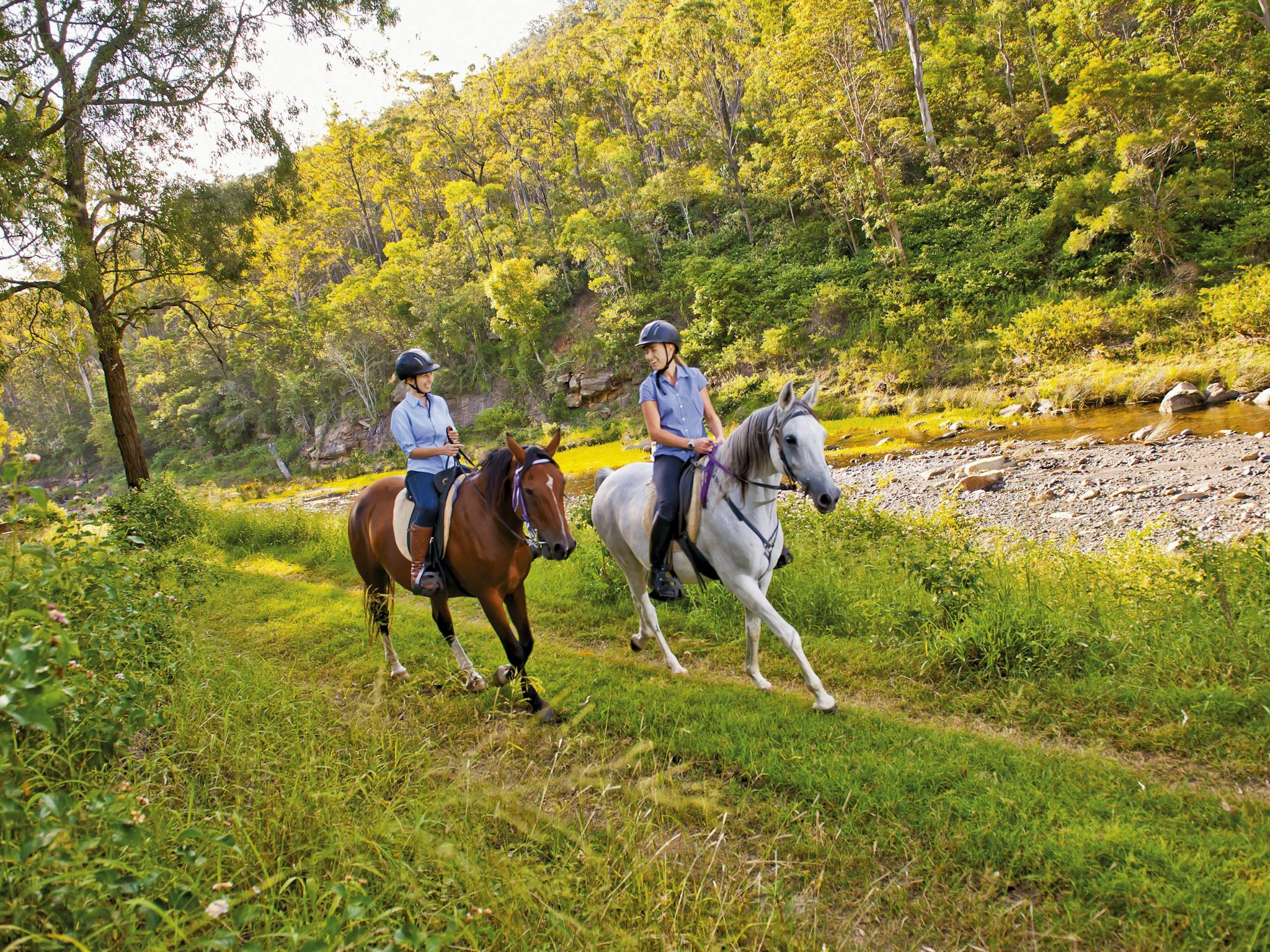 Fordsdale Horseback Adventures