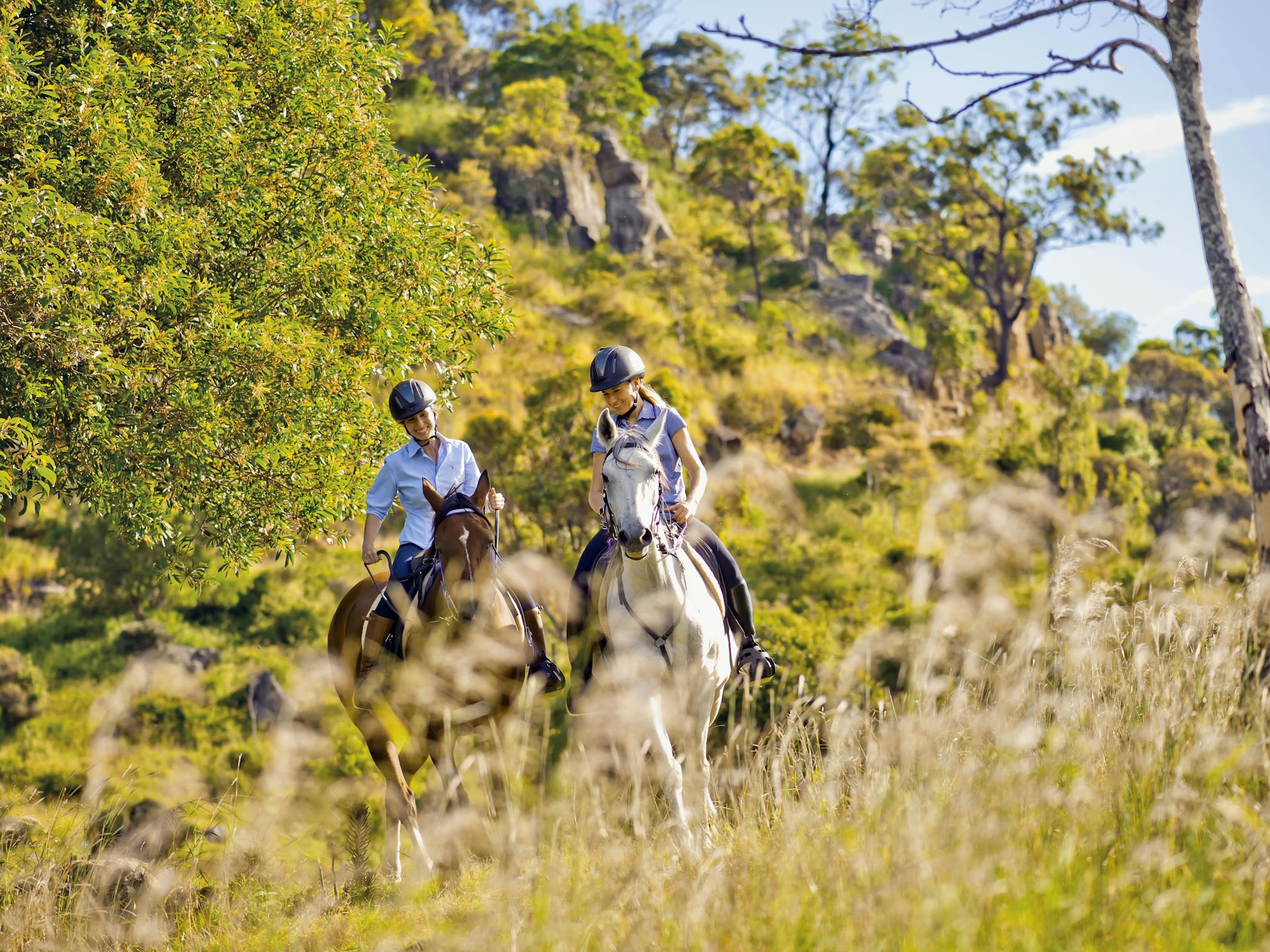 Fordsdale Horseback Adventures